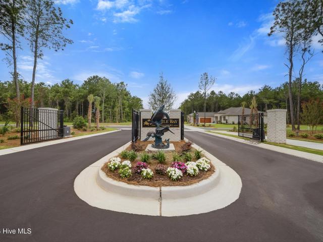 228 Leatherback Way