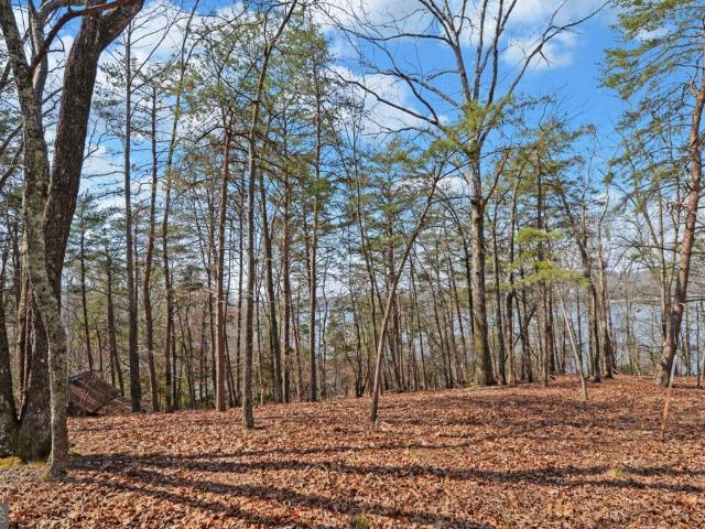 2290 Boy Scout Camp Road