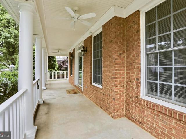 22938 Goldenrod
