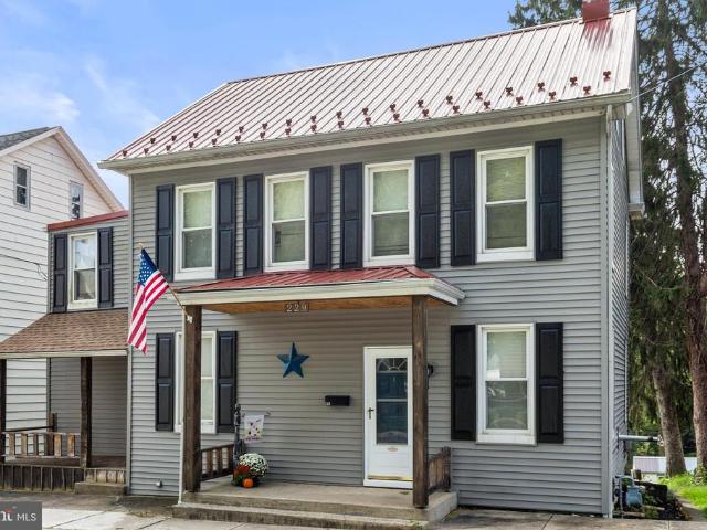 229 Chestnut Street
