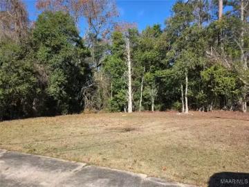 229 CRESTHAVEN CT, SELMA, AL 36701