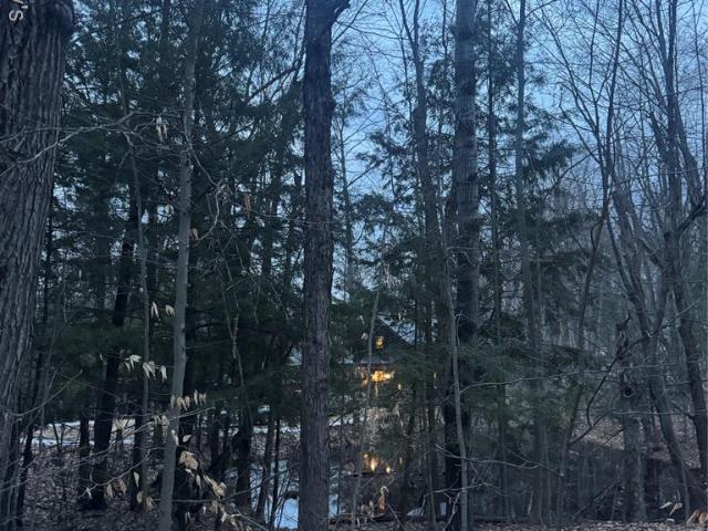 229 Forest Trail
