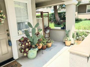 229 Lighthouse Drive