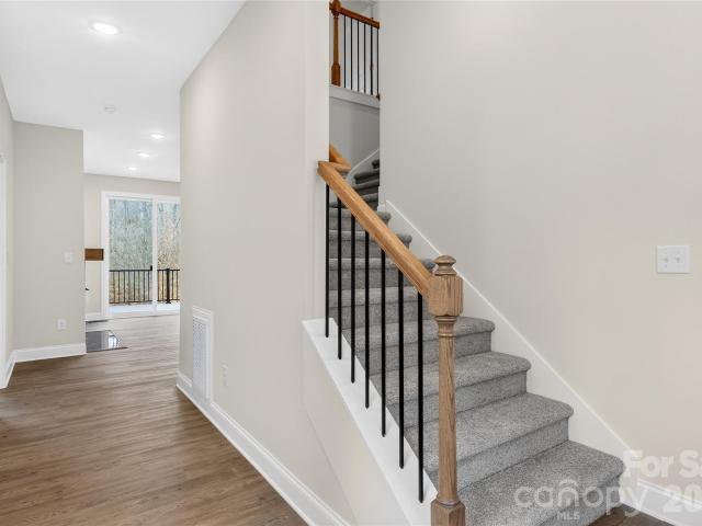 229 Shenandoah Loop