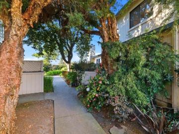 229 Silver Leaf Drive B