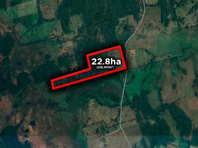 22.8 HECTÁREAS EN VENTA LA AGUADA VERACRUZ | ARLETTE FLORES