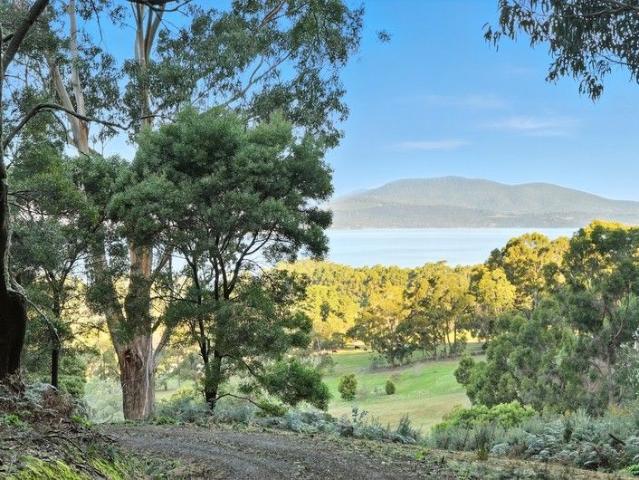 22 Acres with Impressive Views