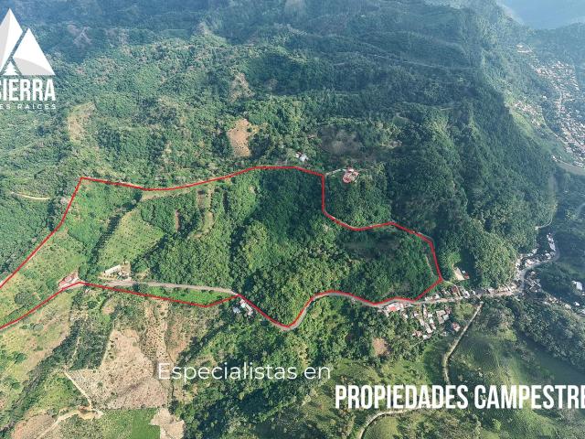 22 Hect?reas de Oasis Productivo y Tur?stico en la Sierra Norte