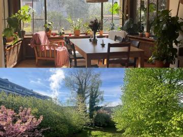 Rapperswil-Jona, Wahlkreis See-Gaster, Kanton Sankt Gallen
