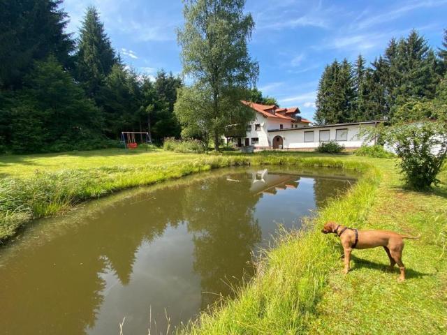 22 Schlafzimmer Haus Neureichenau Deutschland 103771323