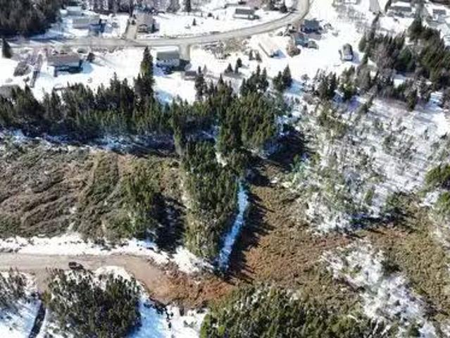 22 Silver Wood Crescent, Cormack, NL, A8A 0J1 vacant land fo.