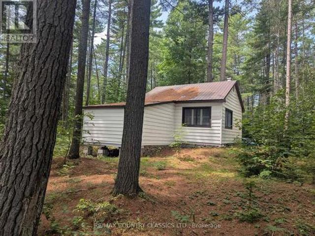 22 Swan Lane, Madawaska Valley, ON, K0J 1B0 house for sale | Listing ID X13619 | Royal LePage