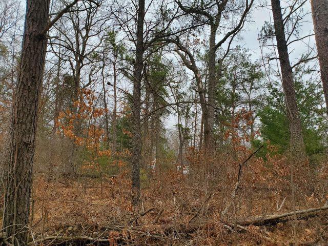 2306 Ronald Drive # Lot: 91 94