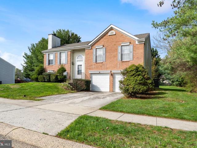 230 Canvasback Drive