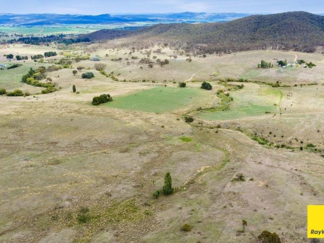 230 glorious acres with your own creek