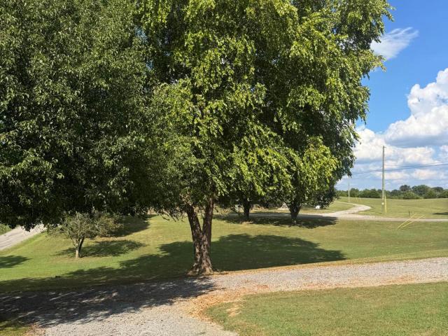 230 Ingram Rd