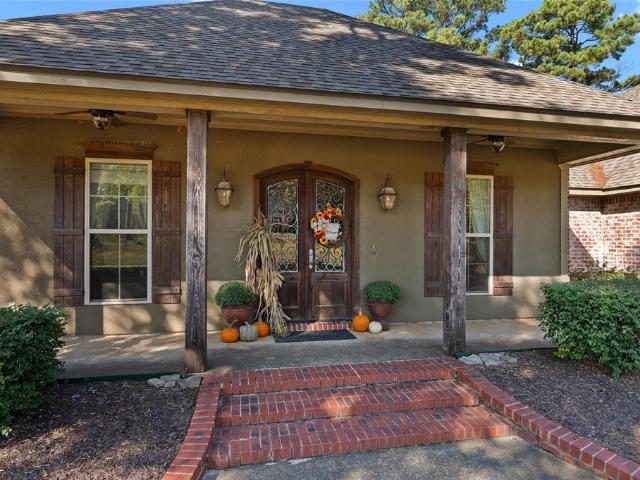 230 Old Palmetto Road