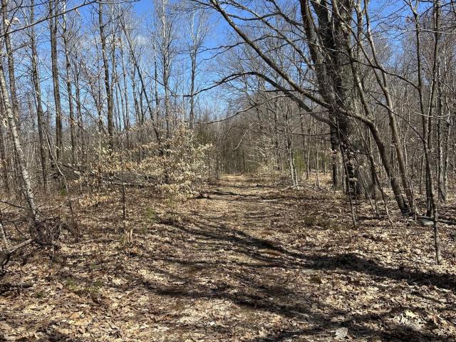 230 S Rd, Stephentown, NY 12018 | MLS #202515