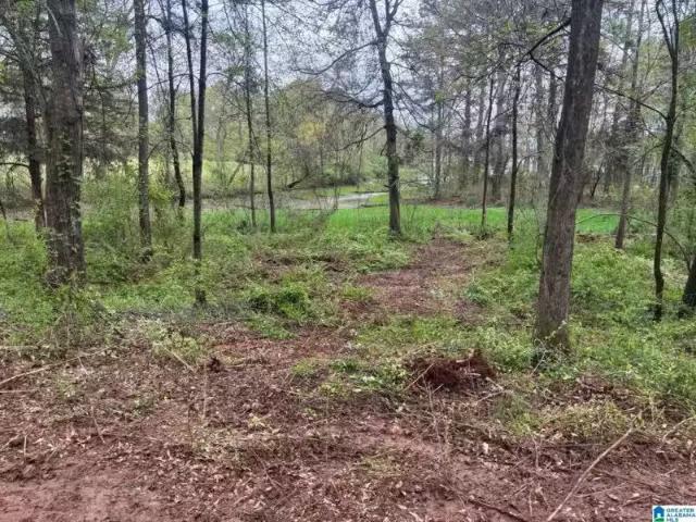 2318 ANNESLEY DR # 009, PELL CITY, AL 35128