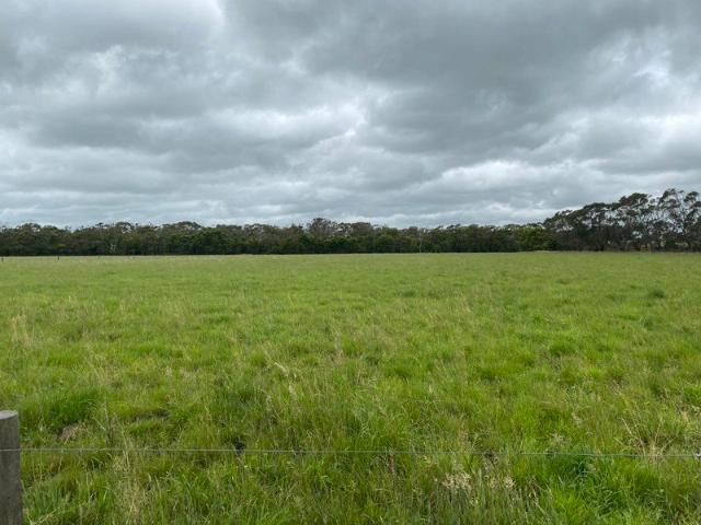 231 acre grazing property