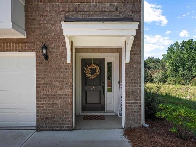 231 Flatsedge Court