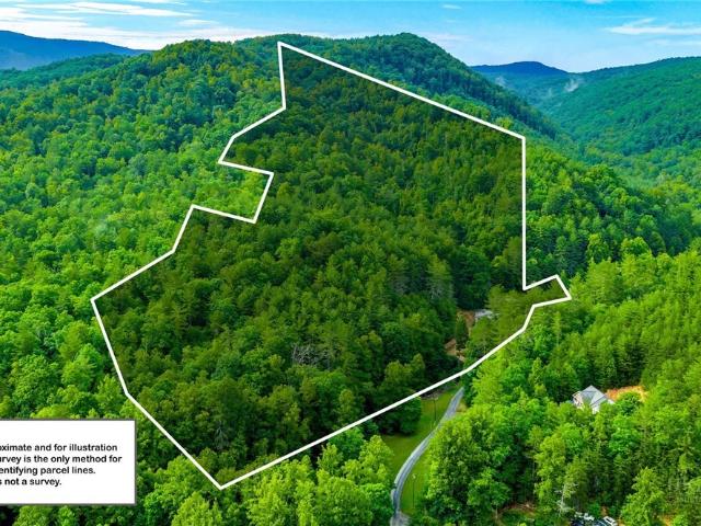 231 Fletcher Creek Lane