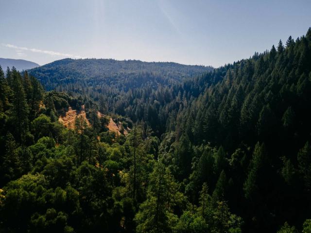 2323 Spink RD, West Point, US, CA