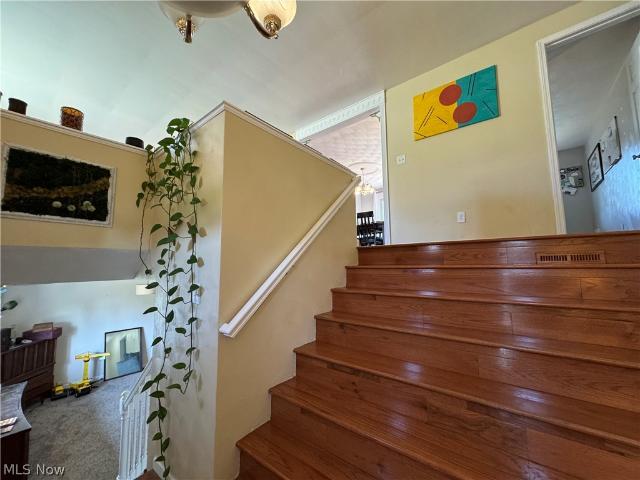 232 Eleanor Street