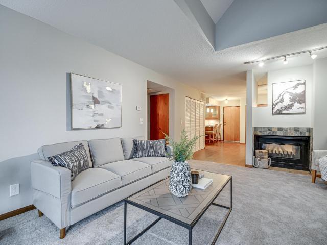 232 W Franklin Ave, Unit 303, Minneapolis, MN 55404 | MLS #7091