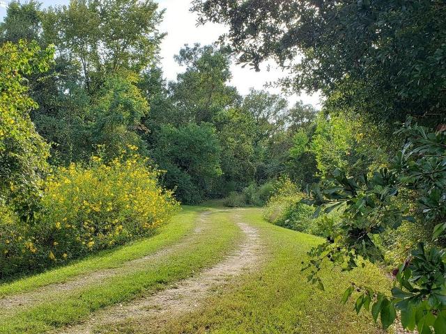 23310 Margerstadt Road, Hockley, US, TX