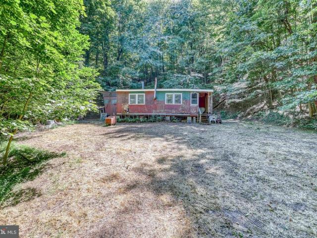 233 Cabin Lane