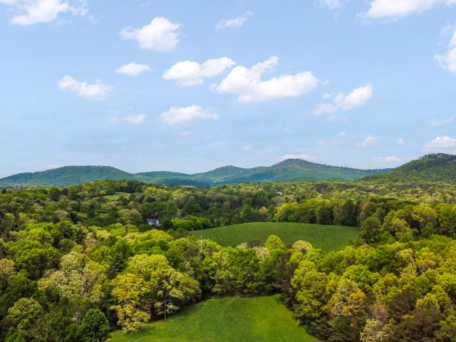 233 Ivy Ridge, Ellijay, GA 30536 | MLS #10741