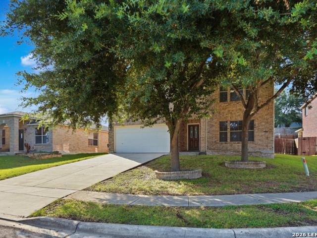 233 Springtree Trl