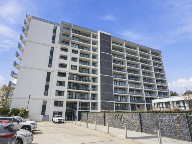 234/1 mouat street, lyneham act for rent lj hooker