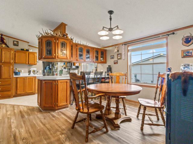 234 Christopher Stone Drive