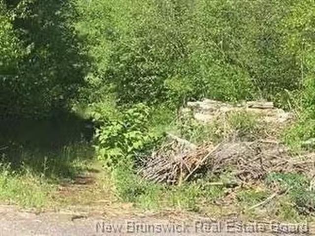 234 Flanagan Rd, Fredericton, NB, E3C 2E8 vacant land for sa.