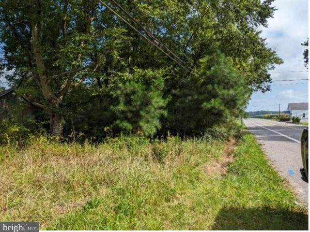 23547 Jonestown Ln, Preston, MD 21655 | MLS #MDCM2003