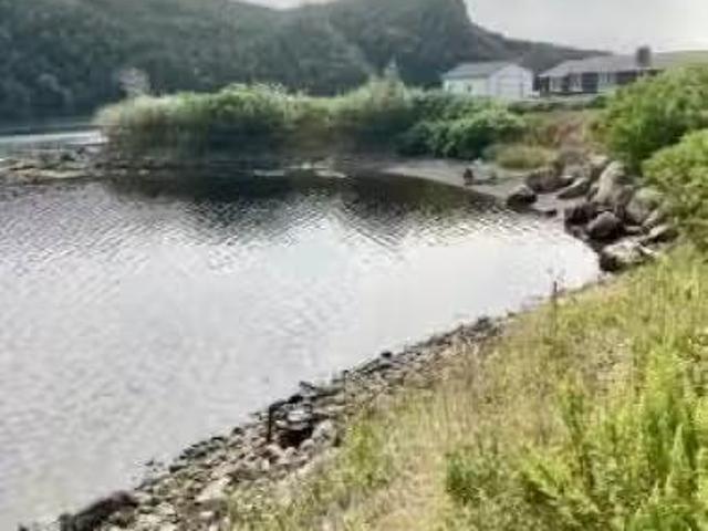 235 241 Harbour Drive, Dunville, Placentia, NL, A0B 1S0 vaca.