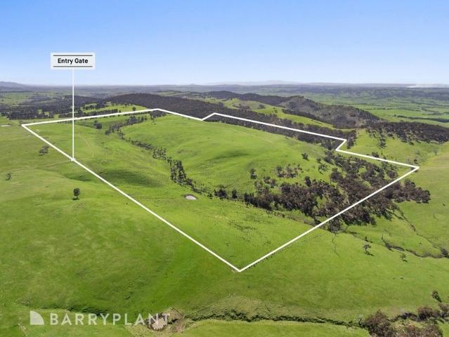 235 ACRES & CITY VIEWS!