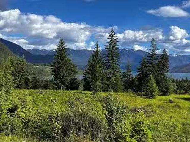 235 Fullmoon Road, Rosebery, BC, V0G 1S1 vacant land for sal.