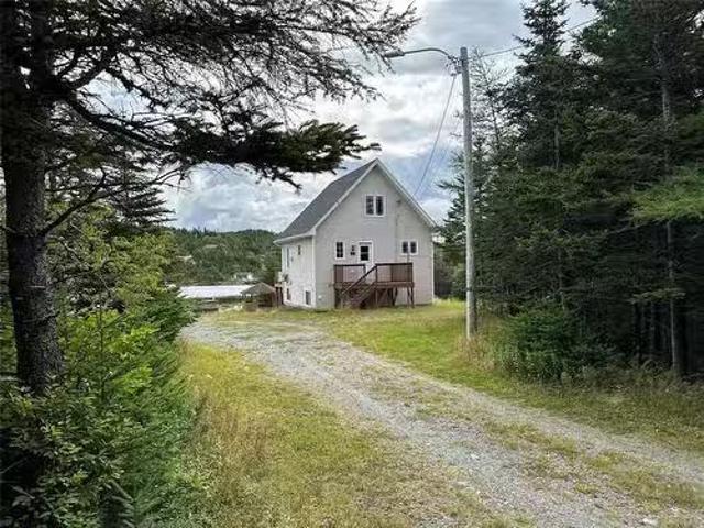 235 Middle Gull Pond Road, Middle Gull Pond, NL, A0G 1B0 rec.