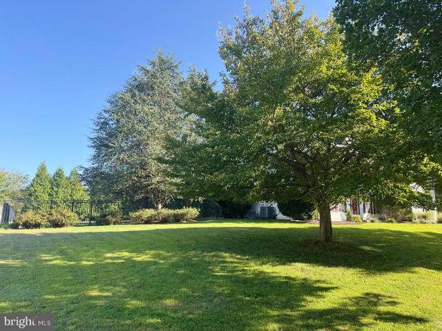 23601 White Peach Court