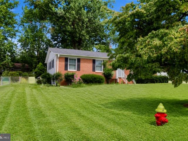 236 Chestnut Drive