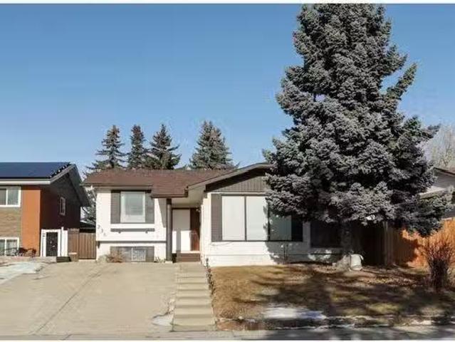 236 Pinetree Road Ne, Calgary, AB, T1Y 1K3 house for sale L.