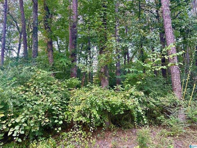 237 Sam Pate Dr, Birmingham, AL 35215