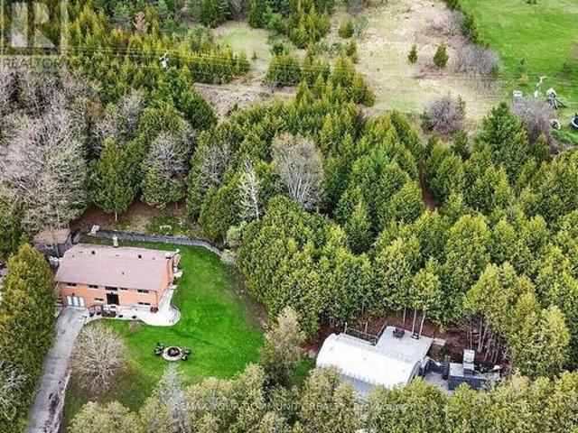 2388 Line 10, Bradford West Gwillimbury, ON, L3Z 3L2 house for sale | Listing ID N13070 | Royal LePage