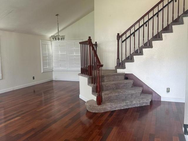 23823 Cockatiel Drive