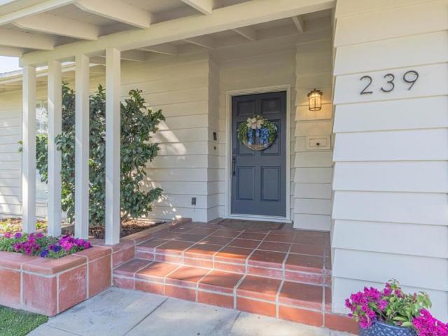 239 Oak Street