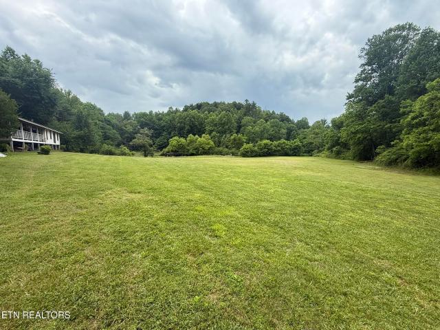 239 Towee Pike