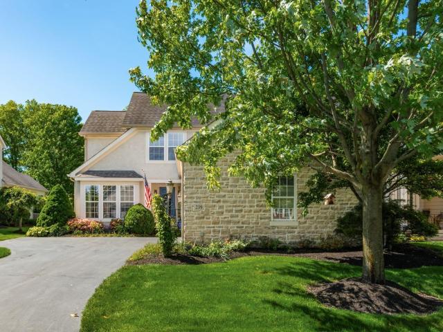 239 Tinley Park Circle